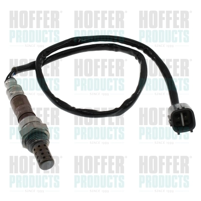 Oxygen Sensor
