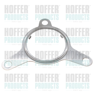 Gasket, EGR valve