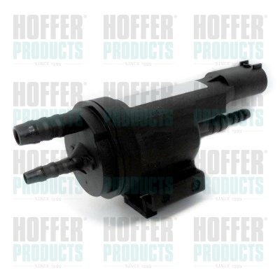 EGR valve, exhaust control