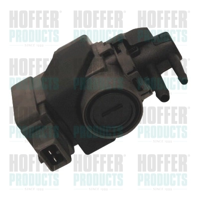 Клапан управління тиском HOFFER 8029241 для Renault Logan 1, Megane 2, Dacia Duster та інших