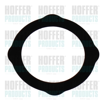 Gasket, EGR valve