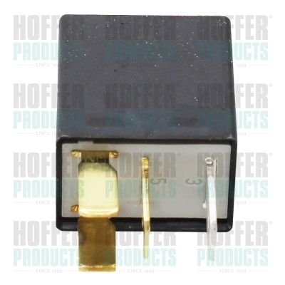 Multifunctional Relay