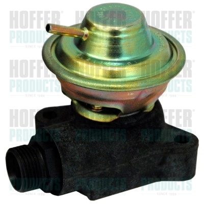 EGR Valve