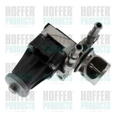EGR Valve
