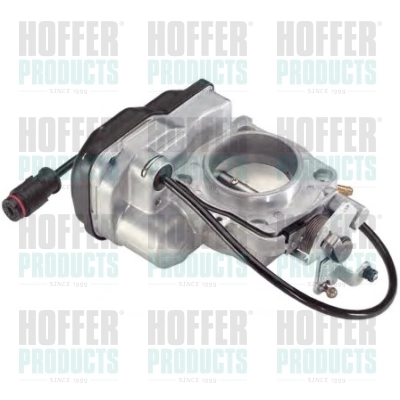 Throttle Body