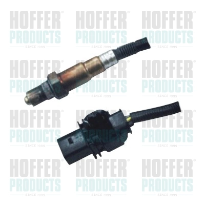 Oxygen Sensor