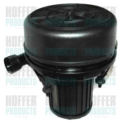 Secondary Air Pump