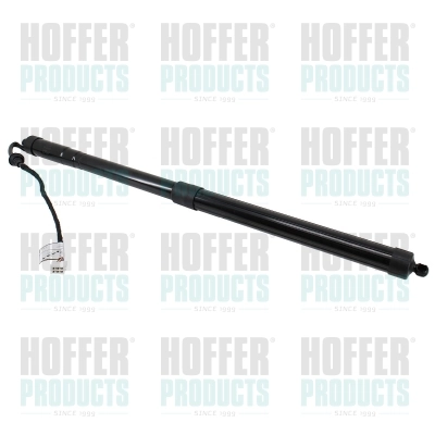 Gas Spring, tray (boot/cargo bay)