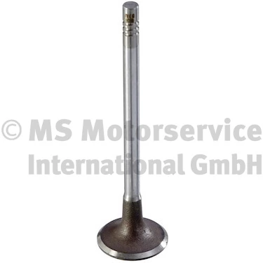 Intake Valve