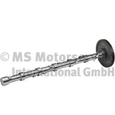 Arbre à came BF 20100228763