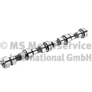 Arbre à came BF 20100208340