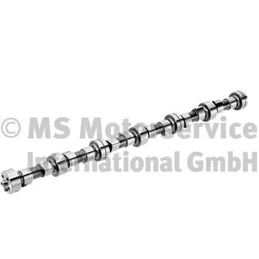 Arbre à came BF 20100208361