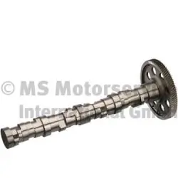 Arbre à came BF 20100354200