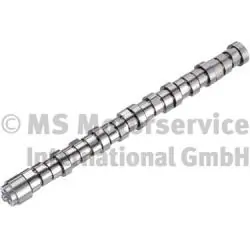 Arbre à came BF 20101410000