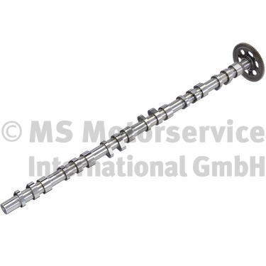 Arbre à came BF 20100347107