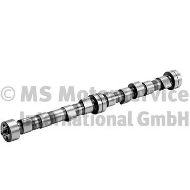 Arbre à came BF 20100208240