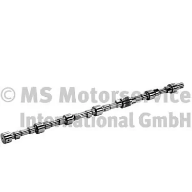 Arbre à came BF 20100335501