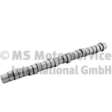 Arbre à came BF 20100412004