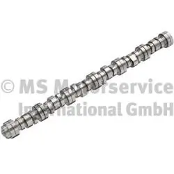 Arbre à came BF 20100712006