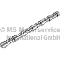 Arbre à came BF 20101408000