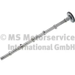 Arbre à came BF 20100347101