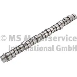 Arbre à came BF 20100411002