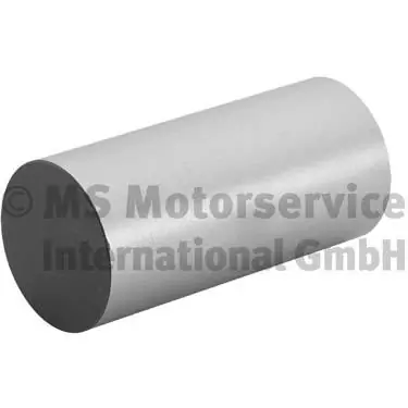 Poussoir de soupape BF 20100335260