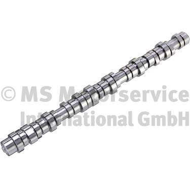 Arbre à came BF 20100413013