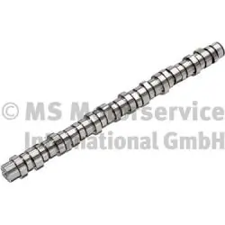 Arbre à came BF 20100413005