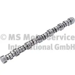 Arbre à came BF 20100712007