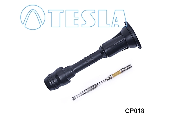 Plug, spark plug
