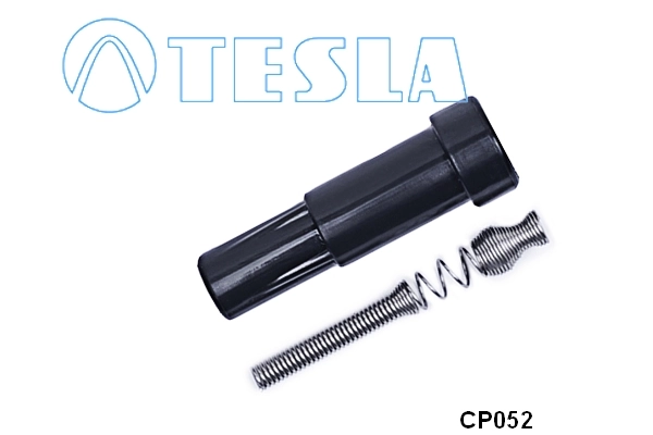 Plug, spark plug