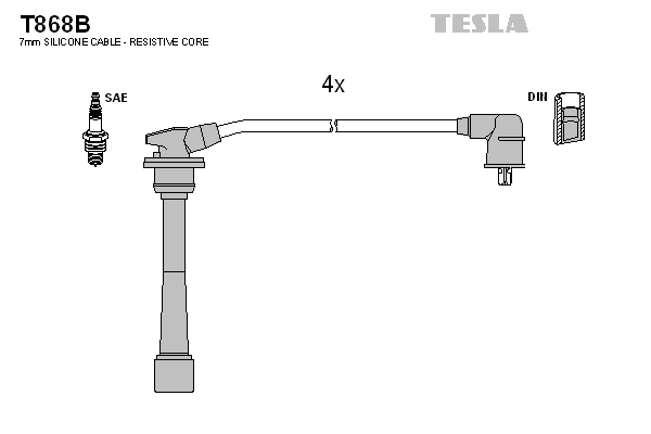 Ignition Cable Kit