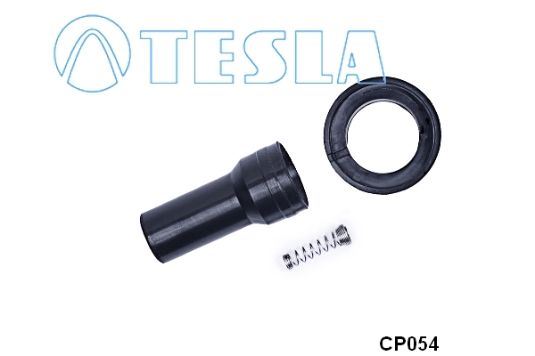 Plug, spark plug