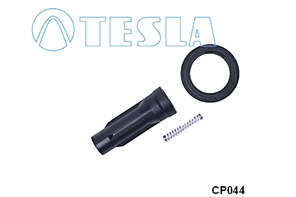 Plug, spark plug