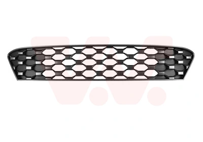 Radiator Grille