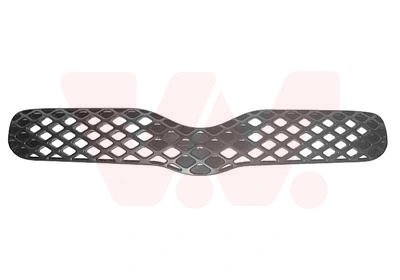 Radiator Grille