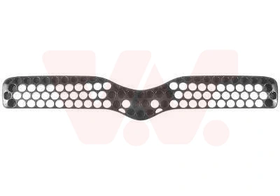 Radiator Grille