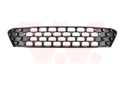 Radiator Grille