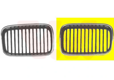 Radiator Grille