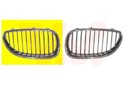 Radiator Grille