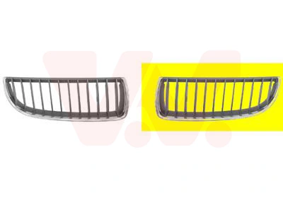 Radiator Grille