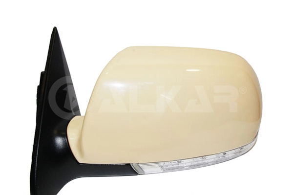 Exterior Mirror