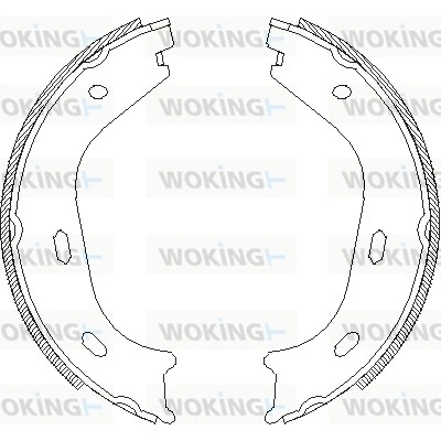 Brake Shoe, parking brake