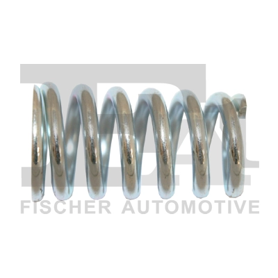 Spring, muffler