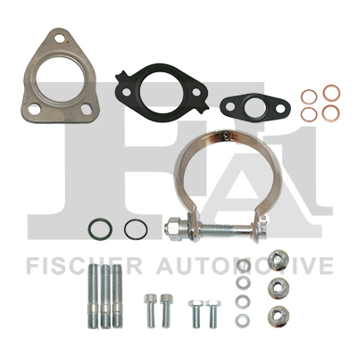 FA1 KT330430