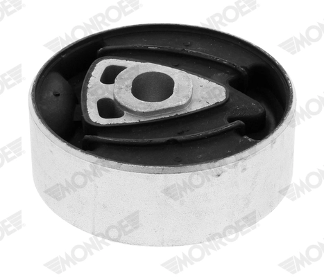 Mounting, transfer case