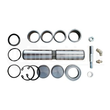 Repair Kit, kingpin