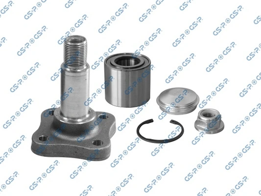 Steering Knuckle, wheel suspension