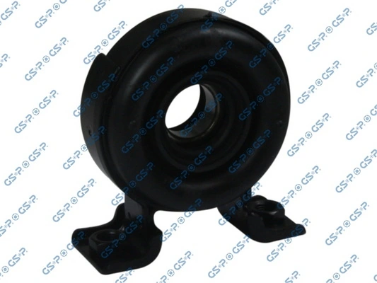 GSP 513572
